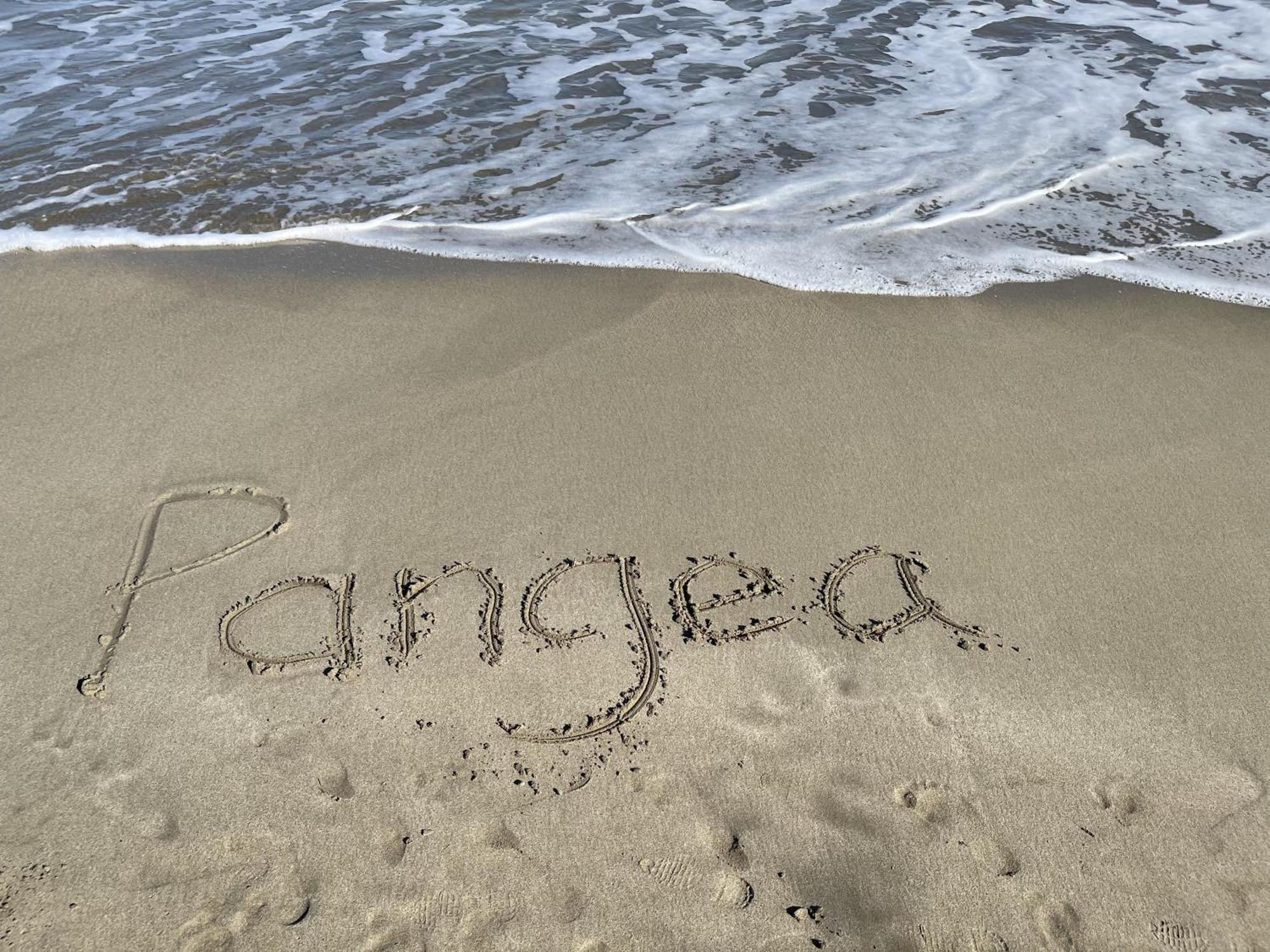 Casa Blanca Beachfront House With Shared Pool Access Pangea Lodge Manzanillo  Exteriör bild